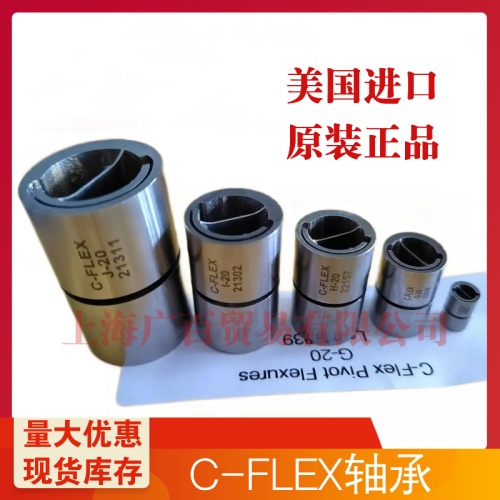 C-Flex Pivot Bearing I-40AMA5 Rev B 枢轴轴承